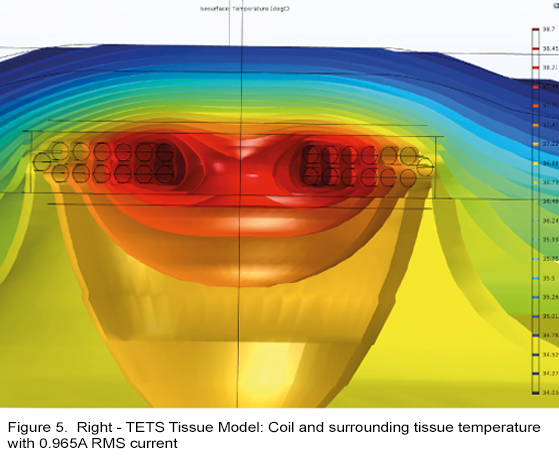 figure 5b graph of tets tissue model