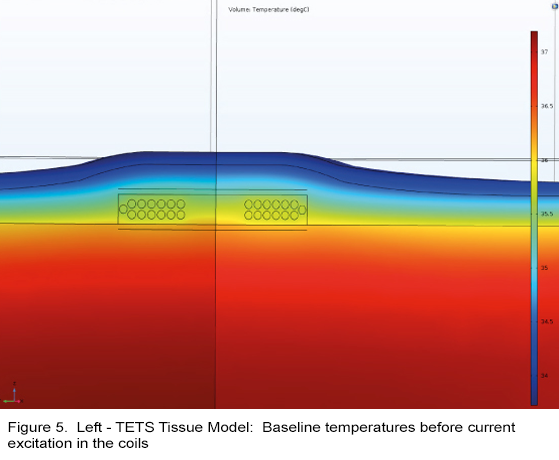 figure 5a graph of tets tissue model