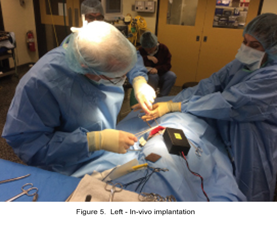 figure 5a showing in vivo implantation