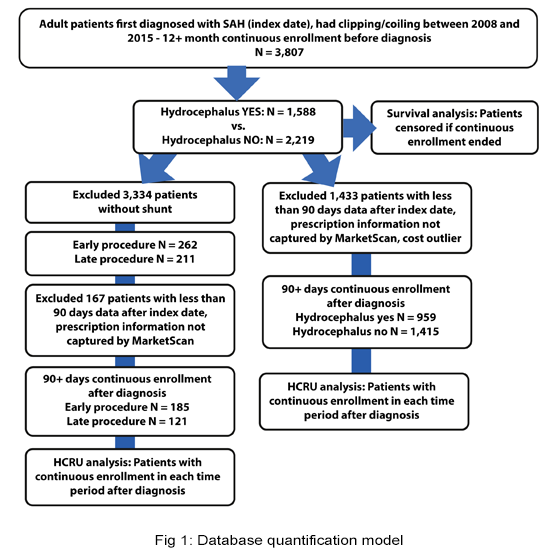 database quantification model diagram