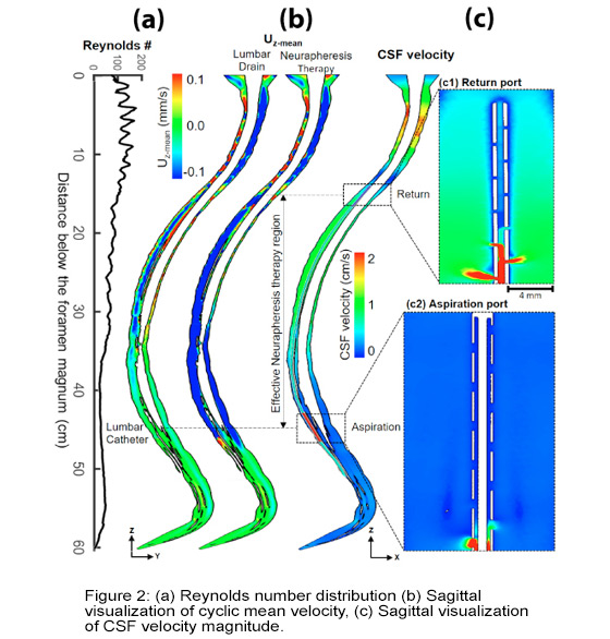 reynolds number distribution and sagittal visualization graph