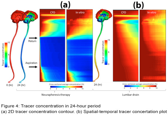 tracer concentration in 24 hour period graph
